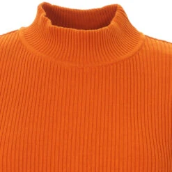 Brigitte Ribbed Turtleneck Top (WW) 30 Brigitte Ribbed Turtleneck Top (WW) -Fashion House Store madcap england brigitte ribbed turtleneck jumper 3 95135.1661261911 4